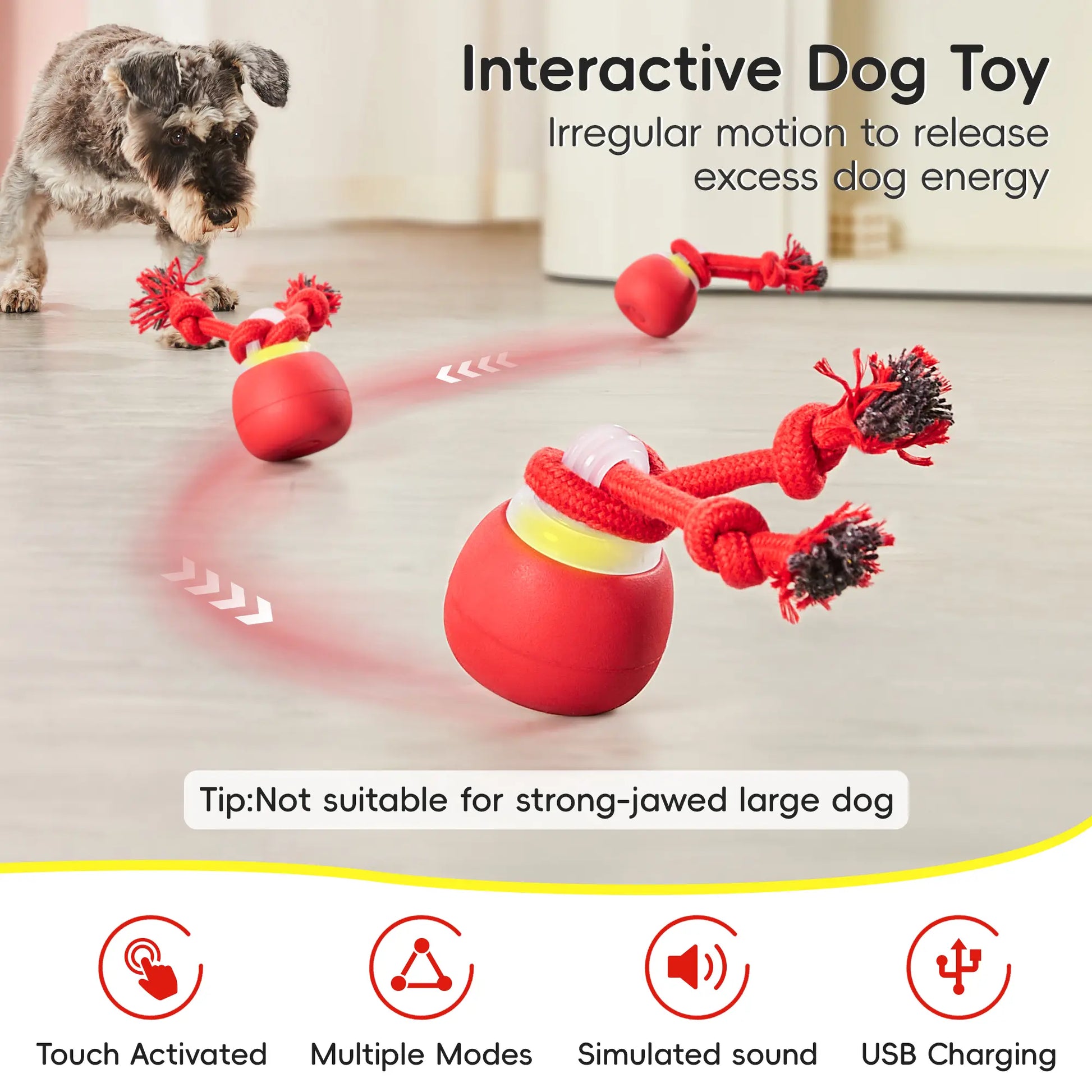 Potaroma Touch-Activated Rechargeable Interactive Dog Ball Toy with Rope, USB Charging Auto-Rolling Squeaky Ball for Small to Medium Dogs - Dark Red