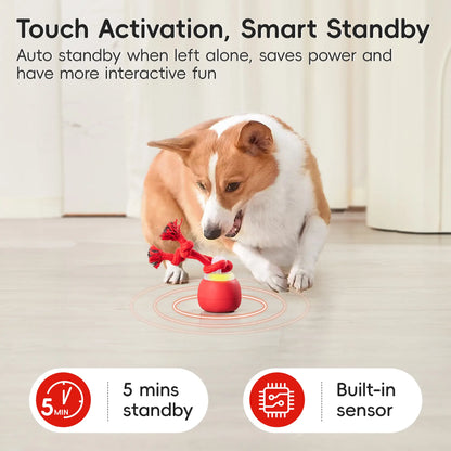 Potaroma Touch-Activated Rechargeable Interactive Dog Ball Toy with Rope, USB Charging Auto-Rolling Squeaky Ball for Small to Medium Dogs - Dark Red